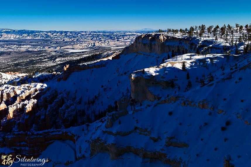 35, 2015, Bryce Canyon, f/2.5, Hoodoo, Landscape, Leica, Mountain, Silentwings Photography, Snow, Summarit-M, Tree, USA, Utah, Winter, Zion National Park
