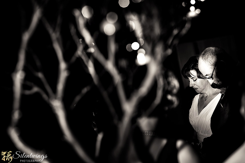 2014, Brich Hill, Comfort Inn, Geoff, NY, Schodack, Silentwings Photography, Stacey, Wedding