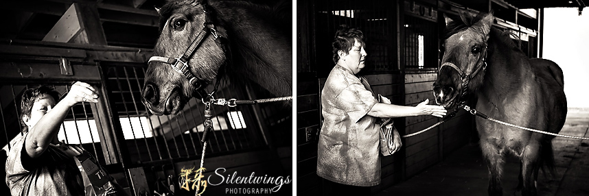 2014, Ballston Spa, Dakota Ridge Farm, Event, Katrina, Llama, NY, Silentwings Photography