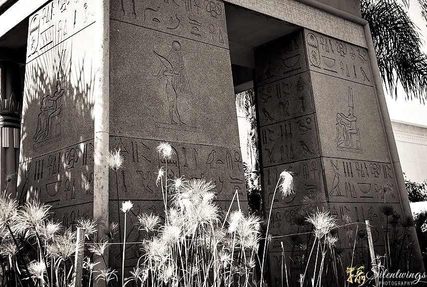 Egypt, Egyptian, Museum, San Jose, 2014, CA, Landscape, Artifact, Mummy, Coffin, Tablet, Tomb, Silentwings Photography, Rosicrucian Egyptian Museum, fresco, Leica, M8, Summarit-M, 35
