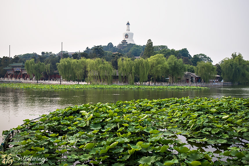 2016, Beihai Park, Beijing, China, D750, Heart of Heaven, Landscape, Nikon, Peking, Qionghua Island, Silentwings Photography, Temple of Heaven, The Circular Mound Altar, The Hall of Prayer for Good Harvests, The Imperial Vault of Heaven, The White Pagoda, Tian Tan