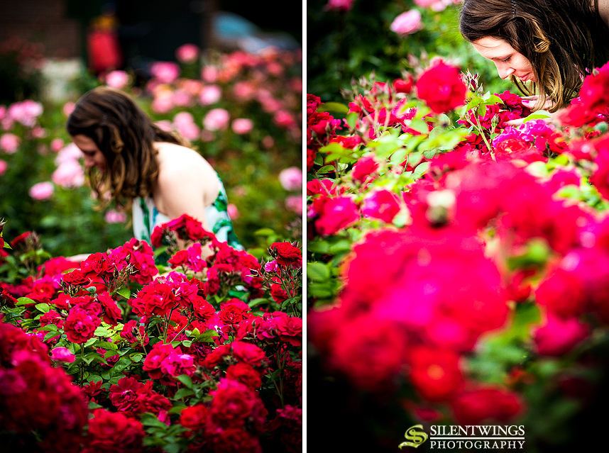 Central Park, Christopher, Emily, Engagement, Portrait, Rose Garden, Schenectady, Silentwings Photography, 2013