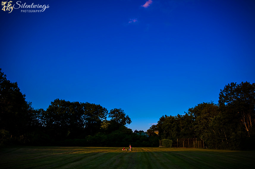 28, 2014, Carl Zeiss, Cloud, Frear Park, Golf Course, Grass, Landscape, Leica, M9, NY, Silentwings Photography, Sky, Sunset, Tree, Troy, ZM