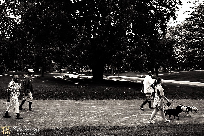 28, 2014, Albany, Carl Zeiss, Lake George, landscape, Leica, M9, NY, resort, Sagamore, Silentwings Photography, venue, Washington Park