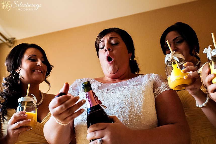 2014, Amanda, Dukes Grove, Holiday Inn Express and Suites, Justin, Lathem, NY, Silentwings Photography, Waterford, Wedding