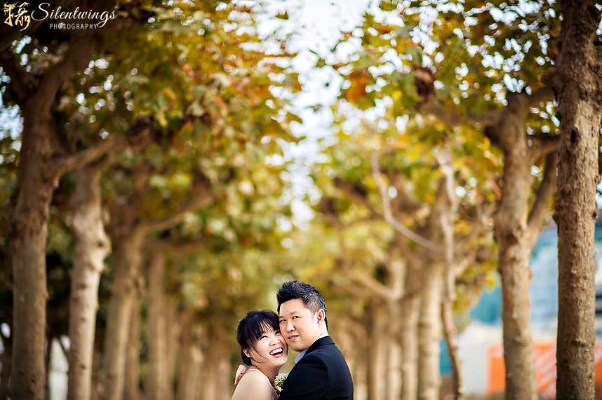 2015, CA, California, Chee Tan, City Hall, Marriage, Ming-Hua Chen, San Francisco, SF, Silentwings Photography, Wedding