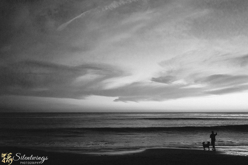 35, 90, f/2.5, Landscape, Leica, Lighthouse Field State Beach, M9, Santa Cruz, Silentwings Photography, Summarit-M, Sunset, Tree