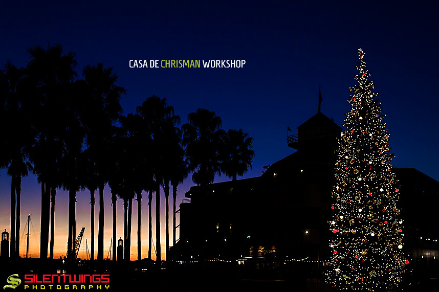2013, Ben Chrisman, CA, Casa De Chrisman, Engagement, Erin Chrisman, Jack London Square, Oakland, San Francisco, Silentwings Photography, Workshop