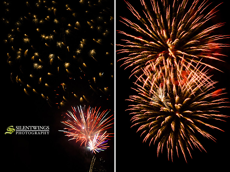 Fireworks, Empire State Plaza, Albany, NY, 2012, Independence Day, July 4th, USA, Silentwings Photography