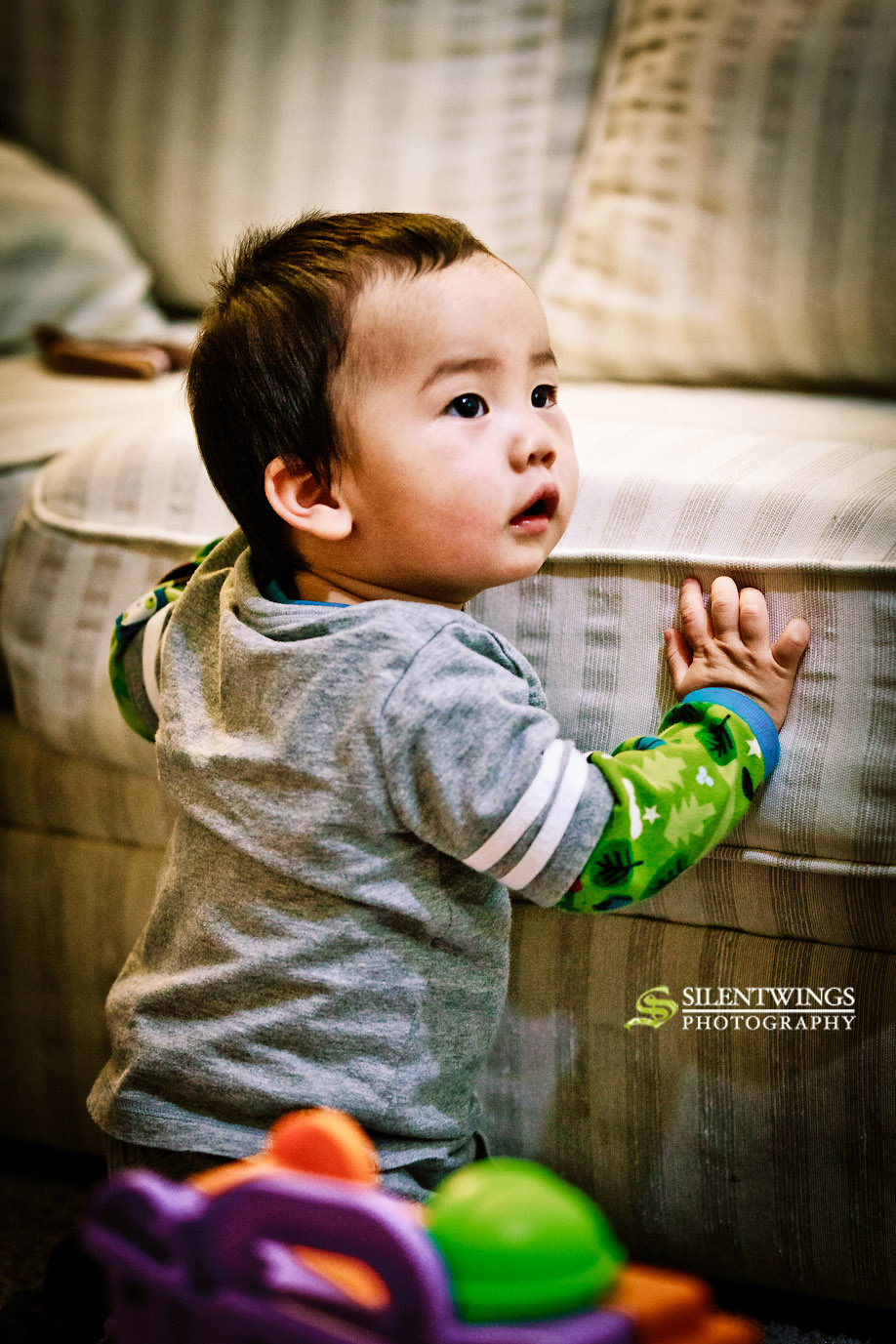 Wesley Luo, Jiazhao Cai, Junhang Luo, Macungie, PA, Portrait, Children, Silentwings Photography