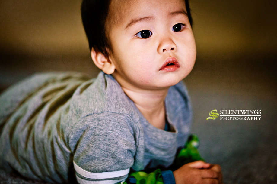 Wesley Luo, Jiazhao Cai, Junhang Luo, Macungie, PA, Portrait, Children, Silentwings Photography