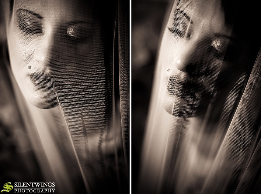 April Gordon, Boudoir, Albany, NY, Model, Portrait, Dream Catcher Project, 2013, Silentwings Photography, Ice Light