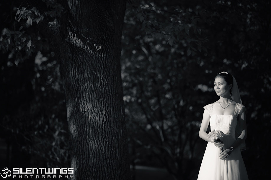 Le Hui, Zhipeng Zhang, Wedding, Portrait, Washington Park, Albany, NY, Photography